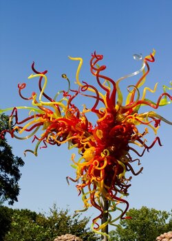 $DallasArboertumChihuly-3.jpg