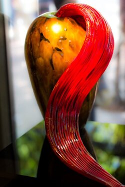 $DallasArboertumChihuly-7.jpg