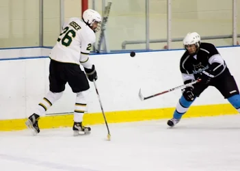 $Hockey-3.webp $Hockey-3.webp