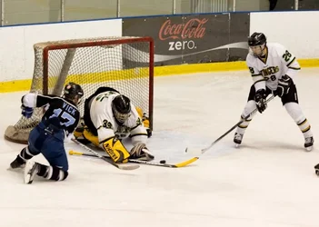 $Hockey-4.webp