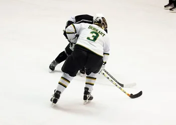 $Hockey-6.webp $Hockey-6.webp
