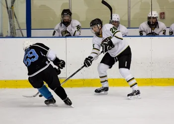 $Hockey-7.webp