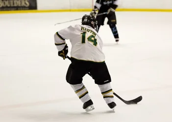 $Hockey-19.webp $Hockey-19.webp