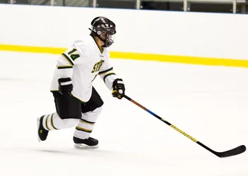 $Hockey-23.webp $Hockey-23.webp
