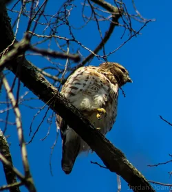 $IMG_4560.webp
