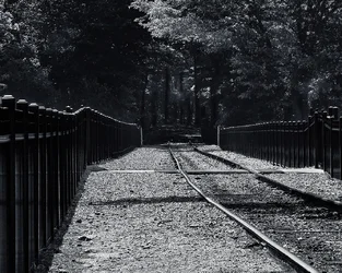 $dark is the forest which swallows up the rails2.webp