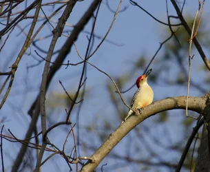 $1DSC_1711.webp