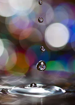 $DSC_0704.WATERDROP1.webp