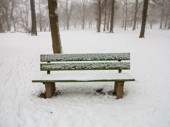 $IMG_0828.webp $IMG_0828.webp
