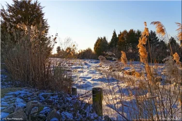 $2013_01_26_0205_sm.webp
