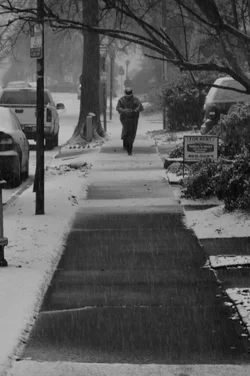 $snowy.webp