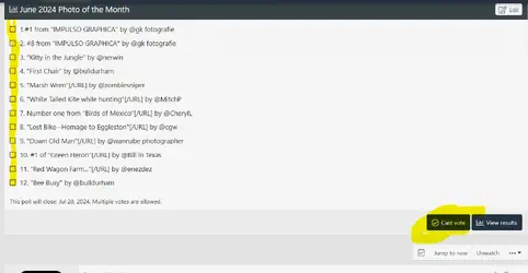 Screenshot 2024-07-06 132914.webp
