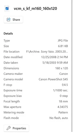 Canon issue 3.webp