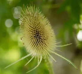 D1A_0205.webp