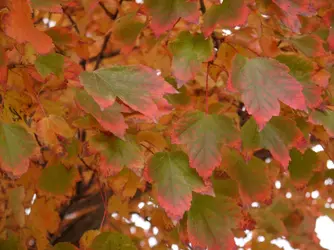 P1020804a1600.webp