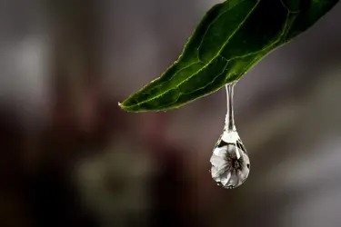 Waterdrop.webp
