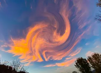 1E11F247-7EFA-4BE4-B92C-918F3DCA37F4.webp