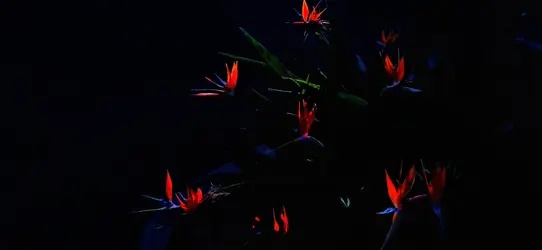 1000001462 (4).webp