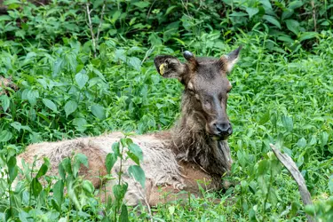 _DSC9799.webp