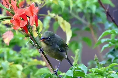 DSC_3022_edited.webp
