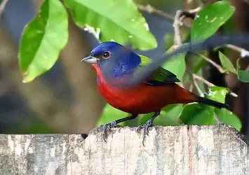 DSC_3055_edited.webp