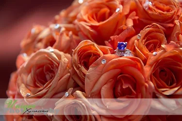$IMG_1112-107.webp $IMG_1112-107.webp