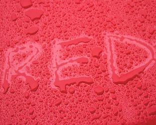 $red3.webp $red3.webp