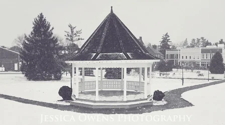$gazebo bw matte copy.webp