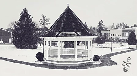 $gazebo-bw-mattecg.webp