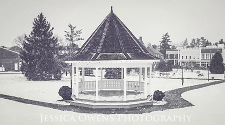 $gazebo bw matte copy.webp $gazebo bw matte copy.webp