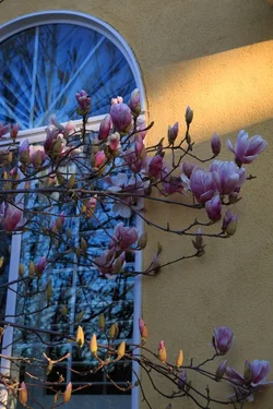 $IMG_1514.webp