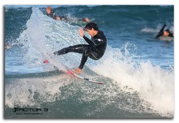 $Sardinero 9.webp
