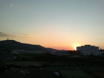 $2012-06-17-318.webp $2012-06-17-318.webp