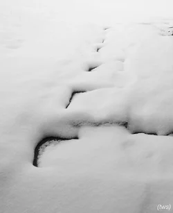 $snow in back yard 18-105 at 18-f8.0.small.webp
