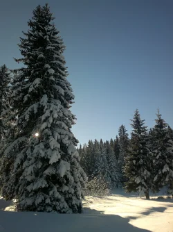$2012-12-30-1720.webp