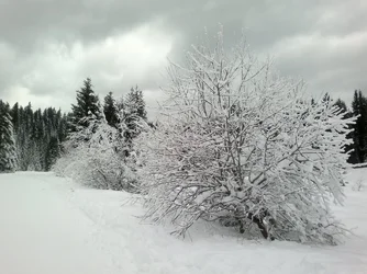 $2013-01-02-1754.webp