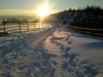 $2013-01-12-1781.webp