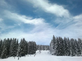 $2013-01-19-1797.webp