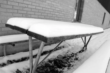 $picnic table at school.small.webp $picnic table at school.small.webp