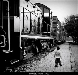 $MattTrain.webp