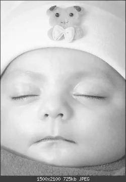 $baby portraitbw.webp $baby portraitbw.webp