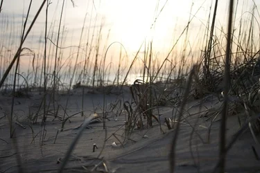 $sunrise.webp
