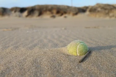$tennisball1.webp