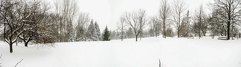 $winter pano.webp