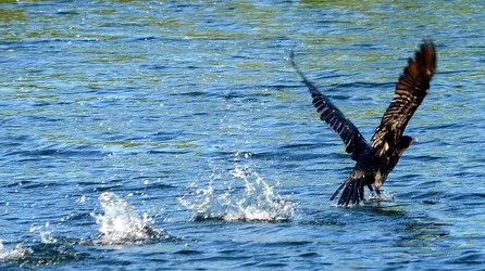 DSC_5992_edited.webp