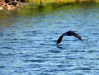 DSC_5994_edited.webp