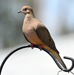 DSC_1096_edited.webp