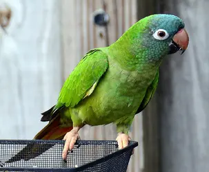 DSC_0777_edited.webp