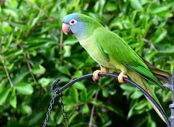 DSC_0801_edited.webp