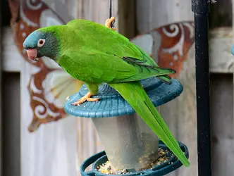 DSC_0807_edited.webp